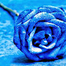 Nour_Na