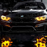 shady_mansour