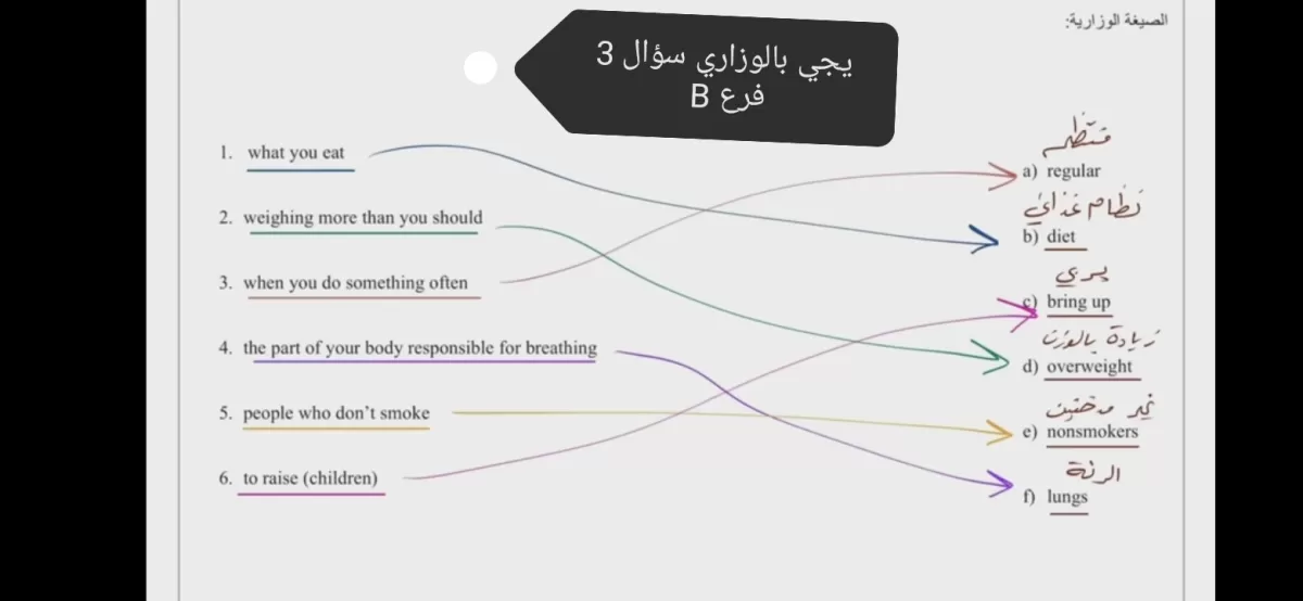 كتابة مقالات و محتوى و مراجعات عن اي موضوع 