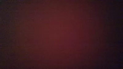نسخ وترجمة النصوص بشكل احترافي 