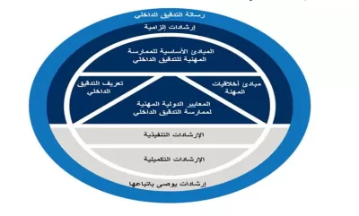 مدقق داخلى
