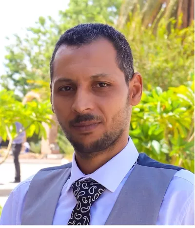 البحث العلمي والتدريس والتحليل الاحصائي والترجمة وكتابة المحتوي والمقالات